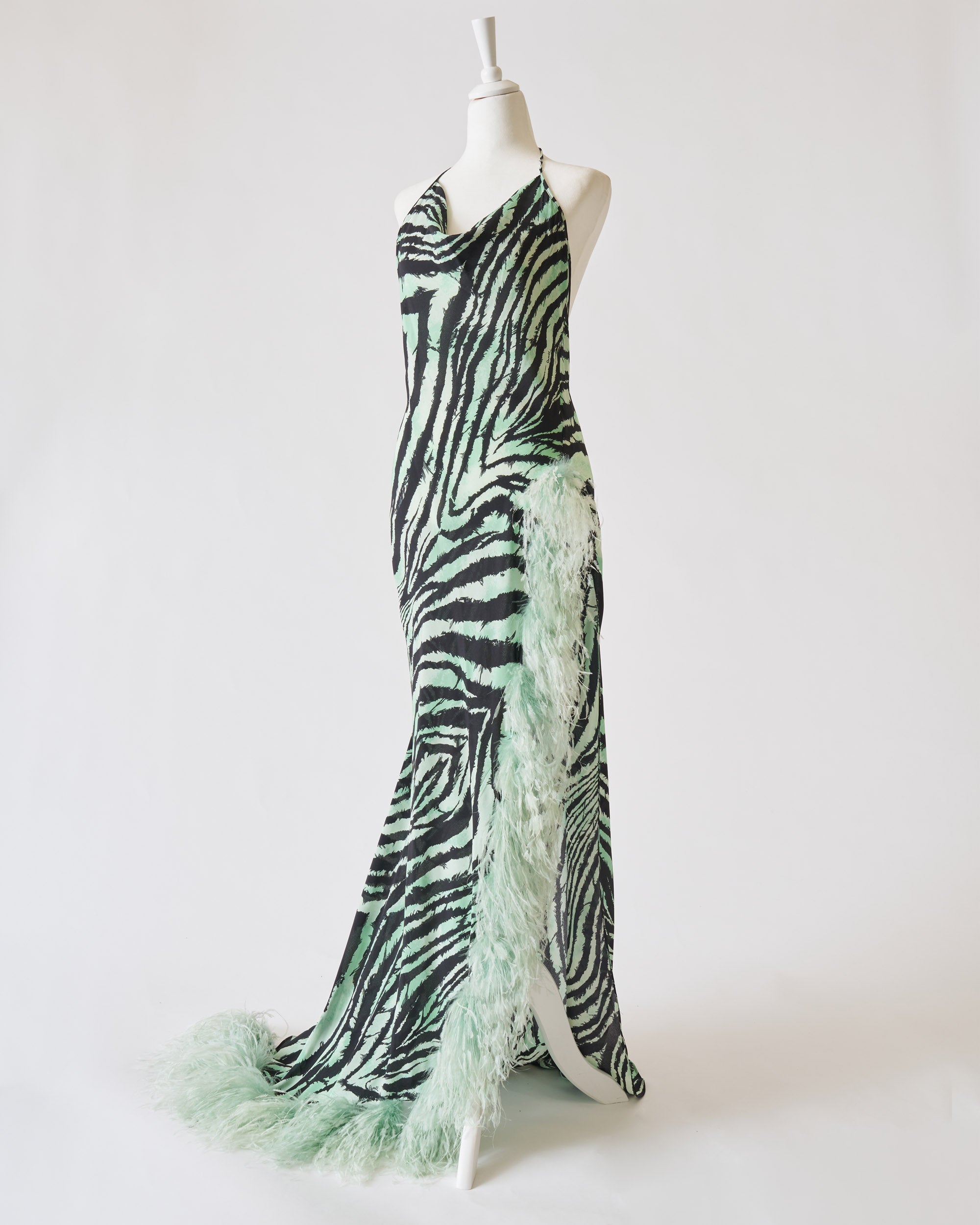 ROBERTO CAVALLI LONG DRESS WITH FEATURES Iryna Sigunava ROBERTO CAVALLI LONG DRESS WITH FEATURES Iryna Sigunava