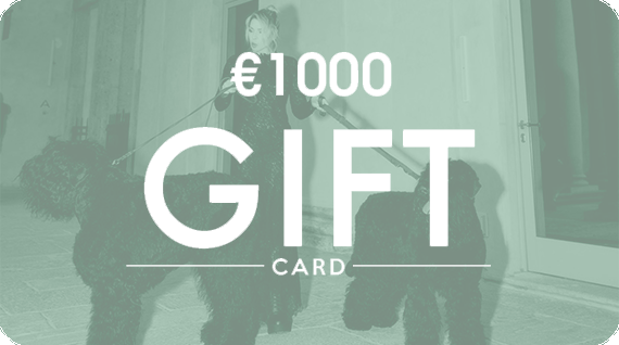 È la carta regalo 1000
